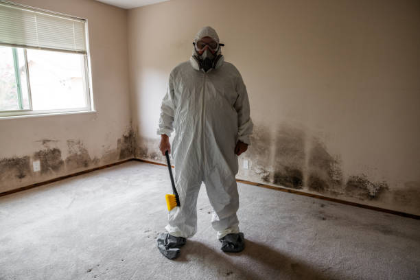 Asbestos and Lead Testing During Mold Inspection in Stamford, CT